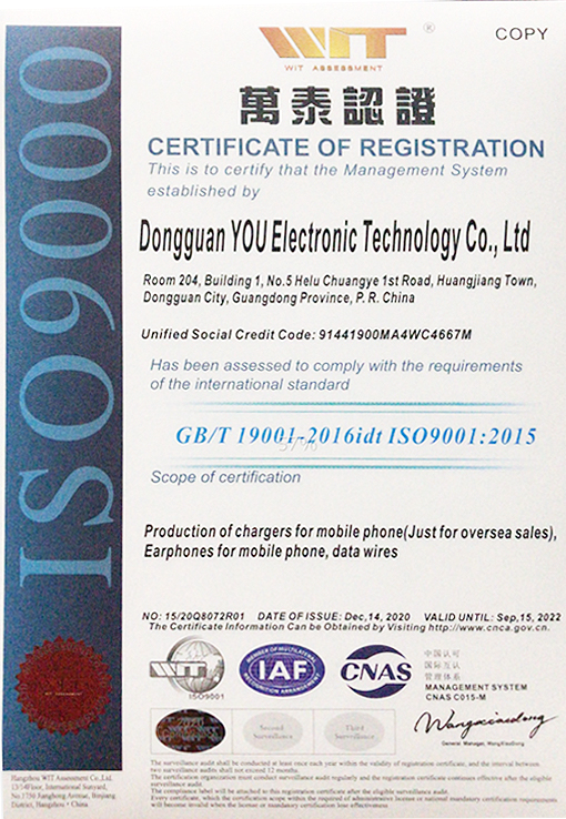 Dongguan You Electronic Technology Co.Ltd